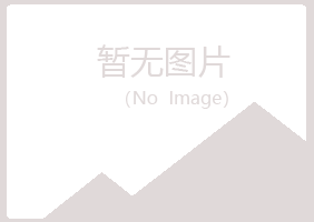 麻山区映易金融有限公司